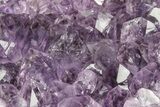 Sparking, Purple, Amethyst Crystal Cluster - Uruguay #215219-1